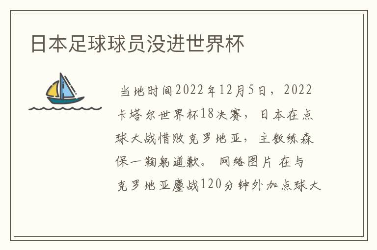 日本足球球员没进世界杯