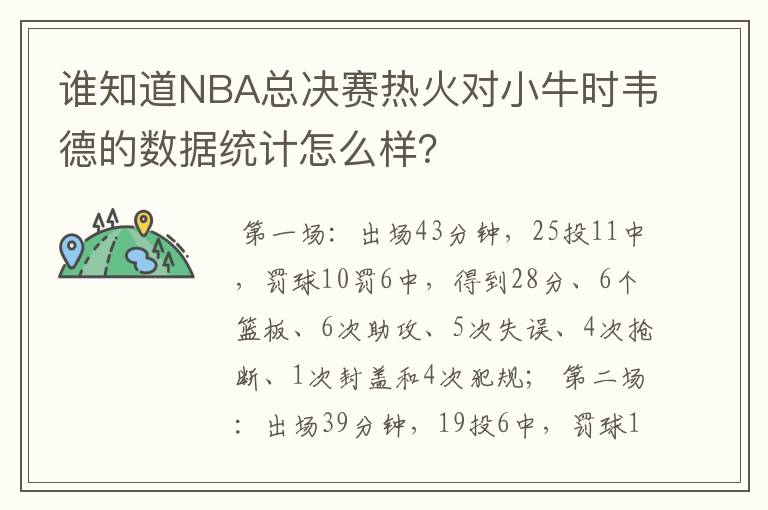 谁知道NBA总决赛热火对小牛时韦德的数据统计怎么样?