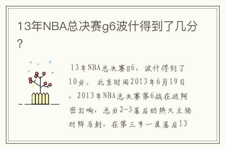 13年NBA总决赛g6波什得到了几分?