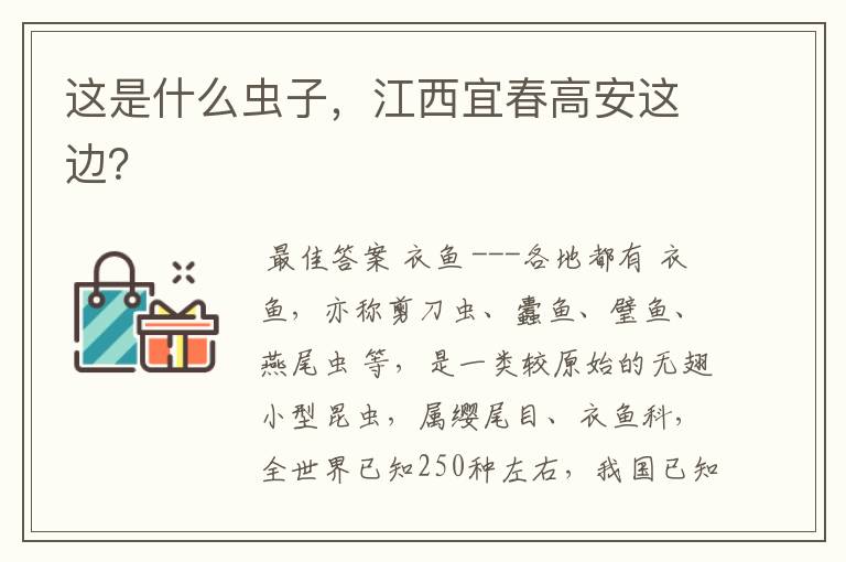 这是什么虫子,江西宜春高安这边?