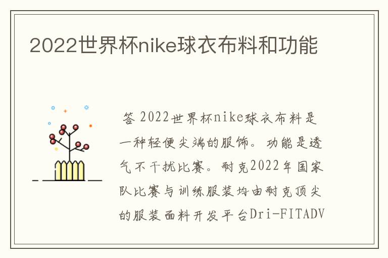 2022世界杯nike球衣布料和功能