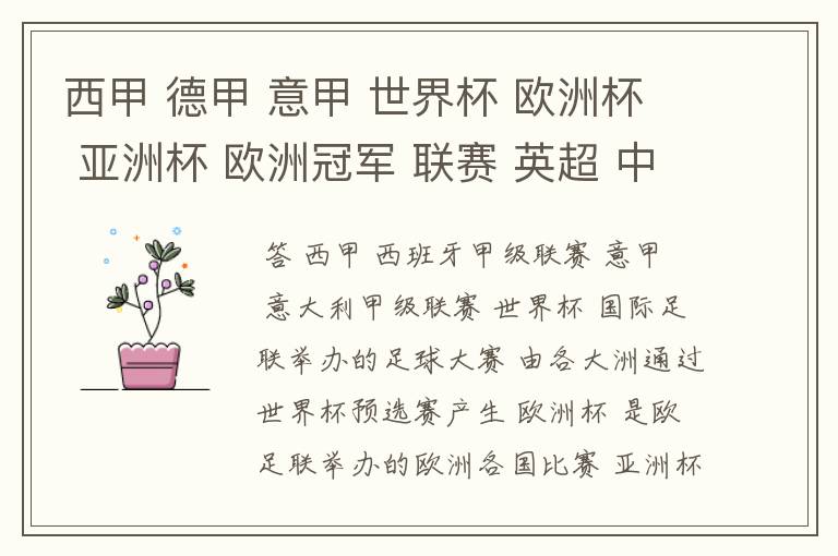 西甲 德甲 意甲 世界杯 欧洲杯 亚洲杯 欧洲冠军 联赛 英超 中超 分别是什么意思啊?
