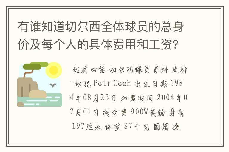 有谁知道切尔西全体球员的总身价及每个人的具体费用和工资?
