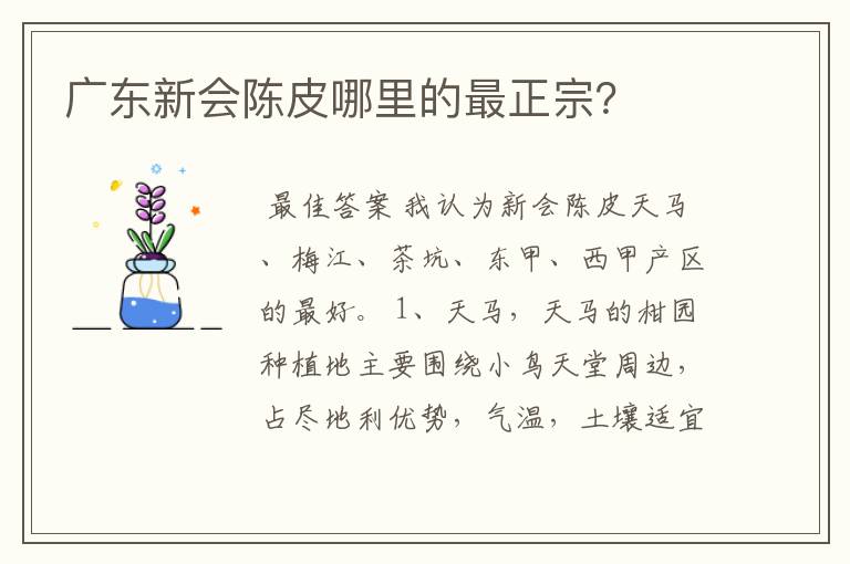 广东新会陈皮哪里的最正宗?