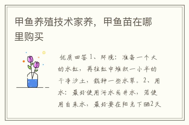 甲鱼养殖技术家养,甲鱼苗在哪里购买