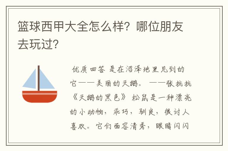 篮球西甲大全怎么样?哪位朋友去玩过?