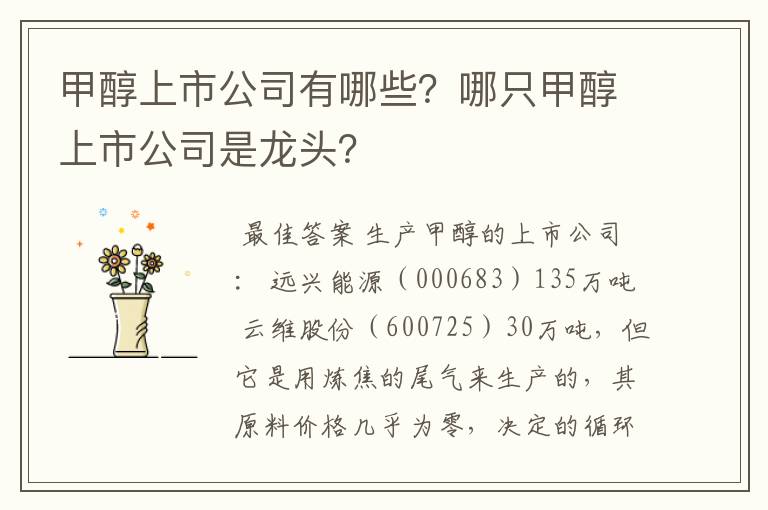 甲醇上市公司有哪些?哪只甲醇上市公司是龙头?