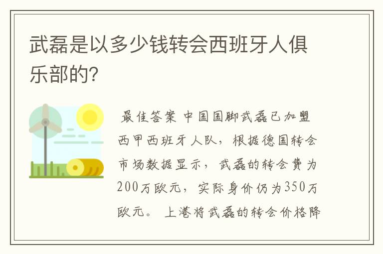 武磊是以多少钱转会西班牙人俱乐部的?