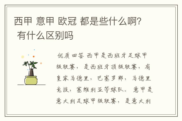 西甲 意甲 欧冠 都是些什么啊? 有什么区别吗
