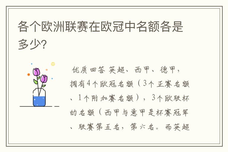 各个欧洲联赛在欧冠中名额各是多少?