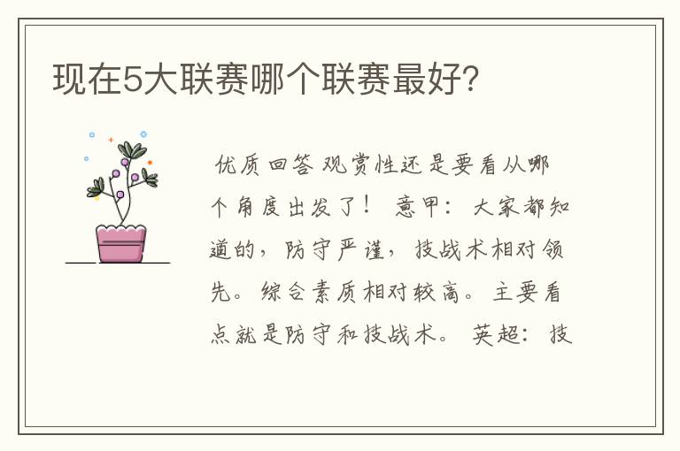现在5大联赛哪个联赛最好?