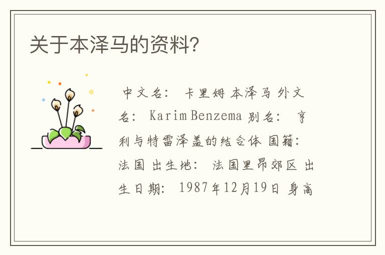 关于本泽马的资料?