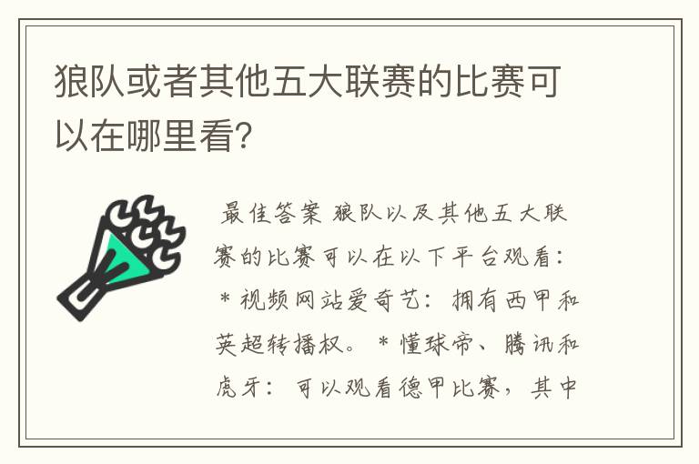 狼队或者其他五大联赛的比赛可以在哪里看?