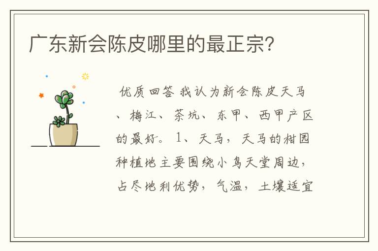 广东新会陈皮哪里的最正宗?