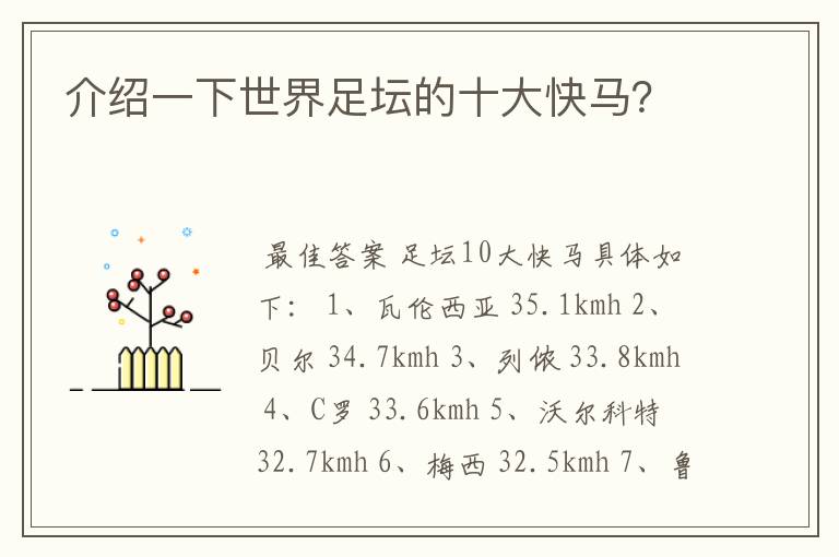 介绍一下世界足坛的十大快马?