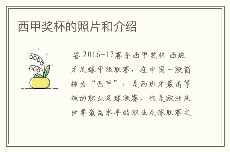 西甲奖杯的照片和介绍