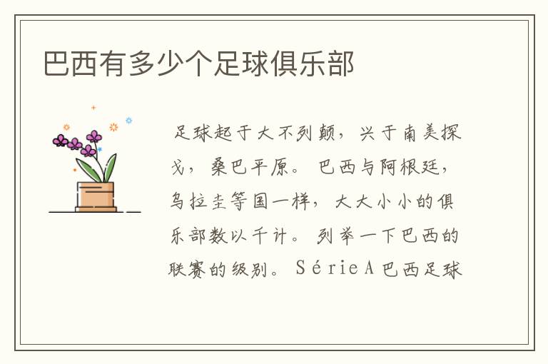 巴西有多少个足球俱乐部