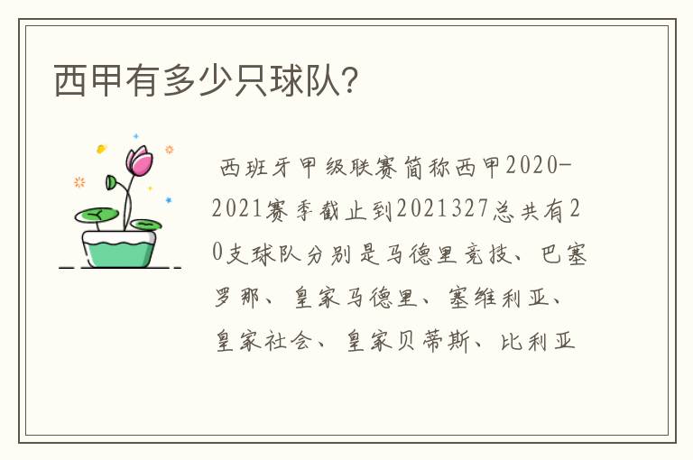 西甲有多少只球队?