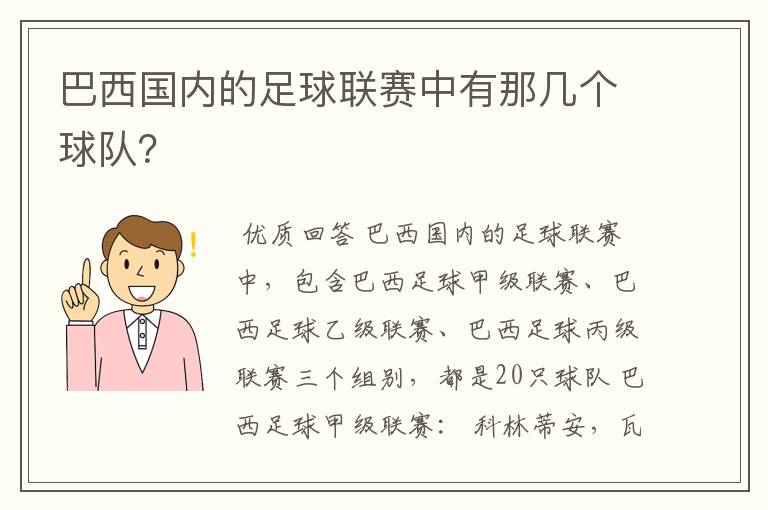 巴西国内的足球联赛中有那几个球队?