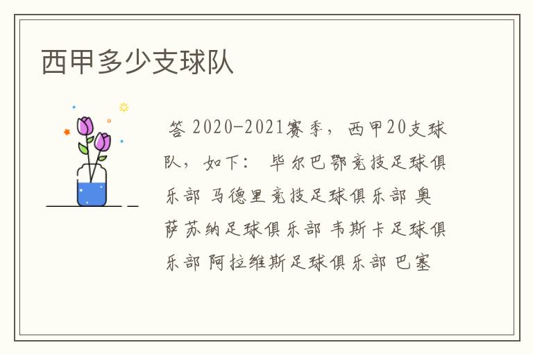 西甲多少支球队