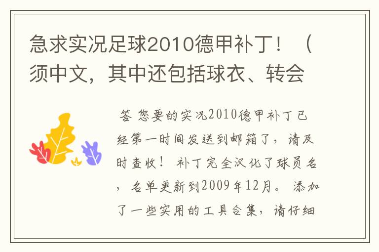 急求实况足球2010德甲补丁！（须中文，其中还包括球衣、转会更新）