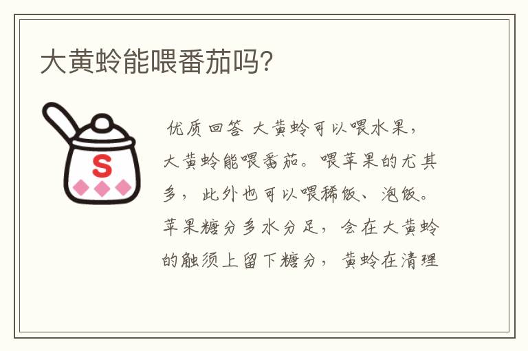 大黄蛉能喂番茄吗?