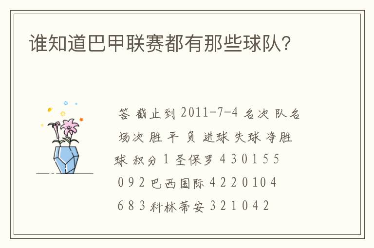 谁知道巴甲联赛都有那些球队?