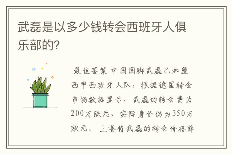 武磊是以多少钱转会西班牙人俱乐部的？