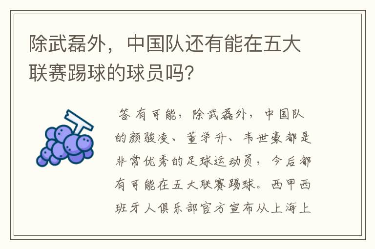 除武磊外,中国队还有能在五大联赛踢球的球员吗?