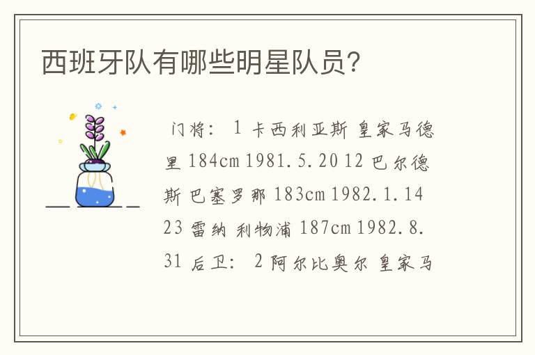 西班牙队有哪些明星队员?