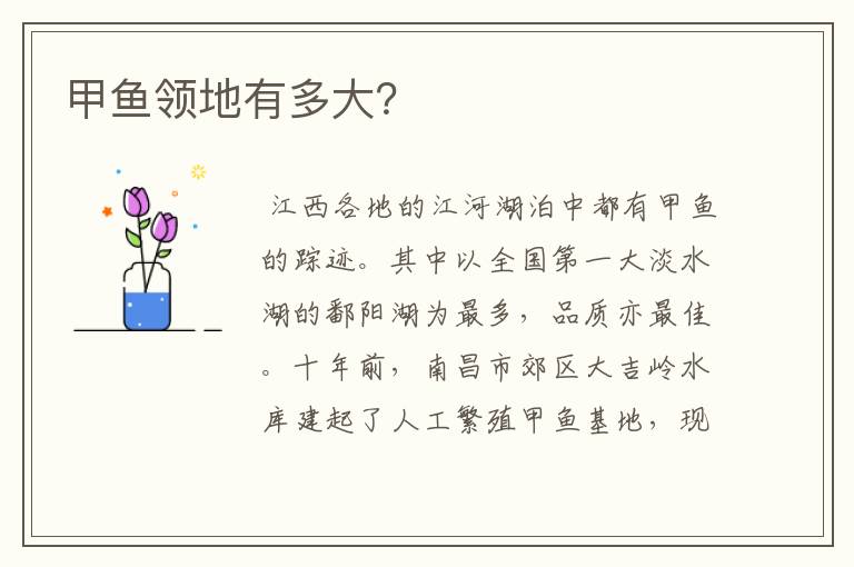 甲鱼领地有多大?
