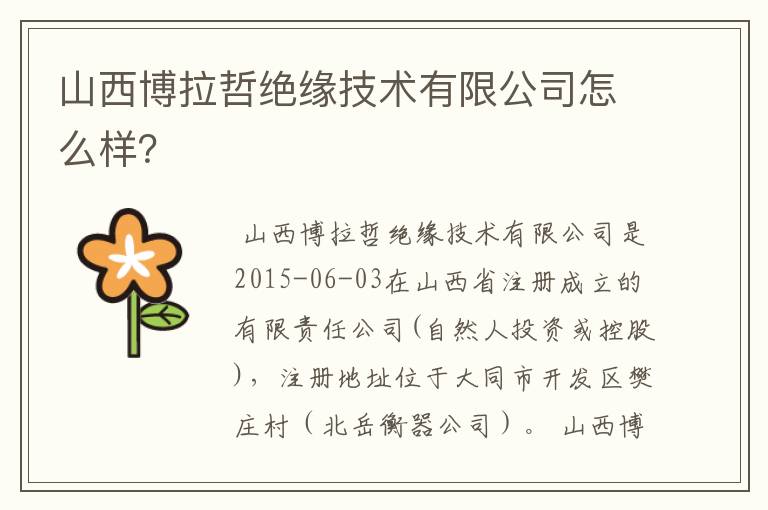 山西博拉哲绝缘技术有限公司怎么样?