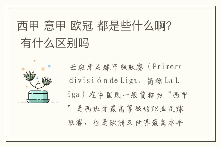 西甲 意甲 欧冠 都是些什么啊? 有什么区别吗