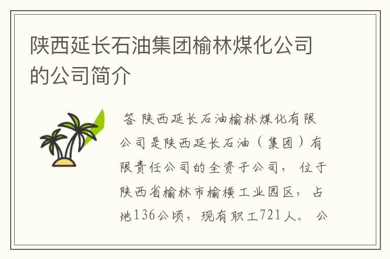 陕西延长石油集团榆林煤化公司的公司简介