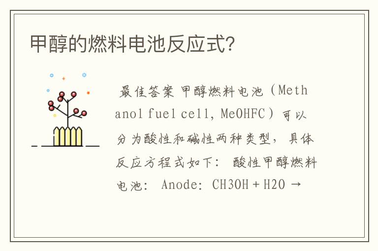 甲醇的燃料电池反应式?