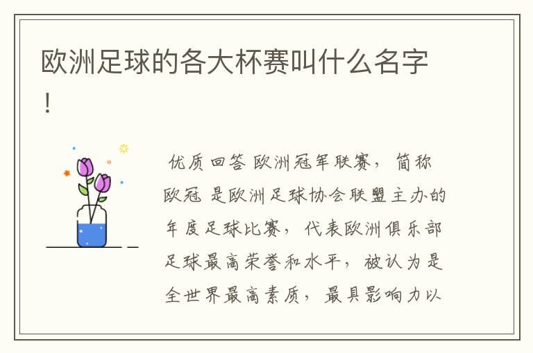 欧洲足球的各大杯赛叫什么名字!