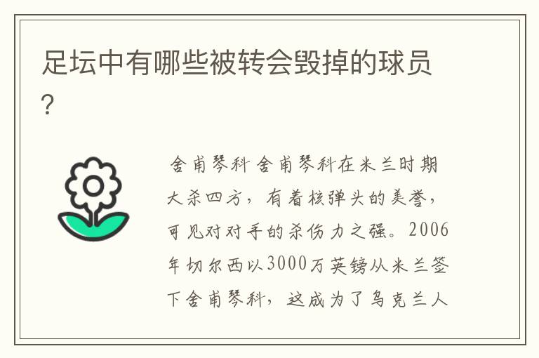 足坛中有哪些被转会毁掉的球员?