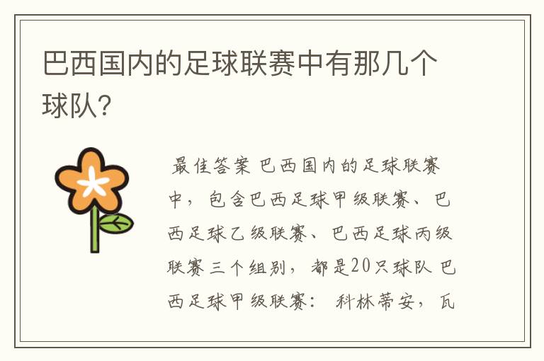 巴西国内的足球联赛中有那几个球队?