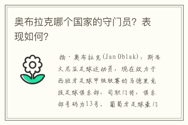 奥布拉克哪个国家的守门员?表现如何?