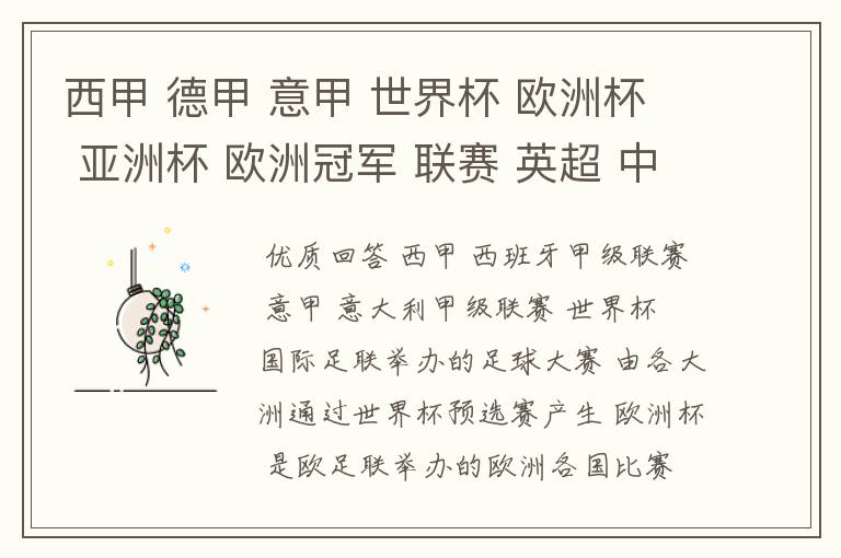西甲 德甲 意甲 世界杯 欧洲杯 亚洲杯 欧洲冠军 联赛 英超 中超 分别是什么意思啊?