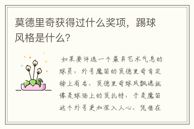 莫德里奇获得过什么奖项,踢球风格是什么?