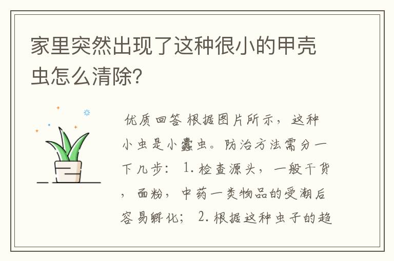 江西甲壳虫图片—家里突然出现了这种很小的甲壳虫怎么清除？