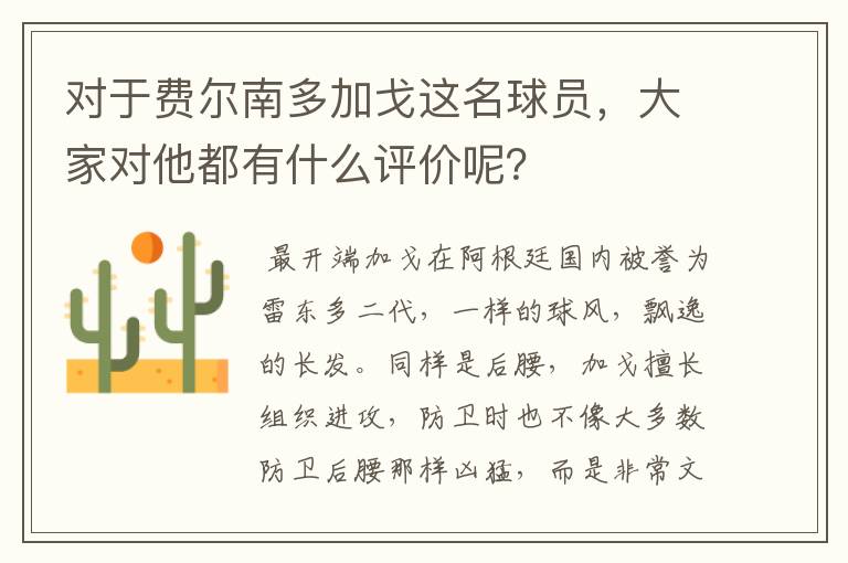 对于费尔南多加戈这名球员,大家对他都有什么评价呢?