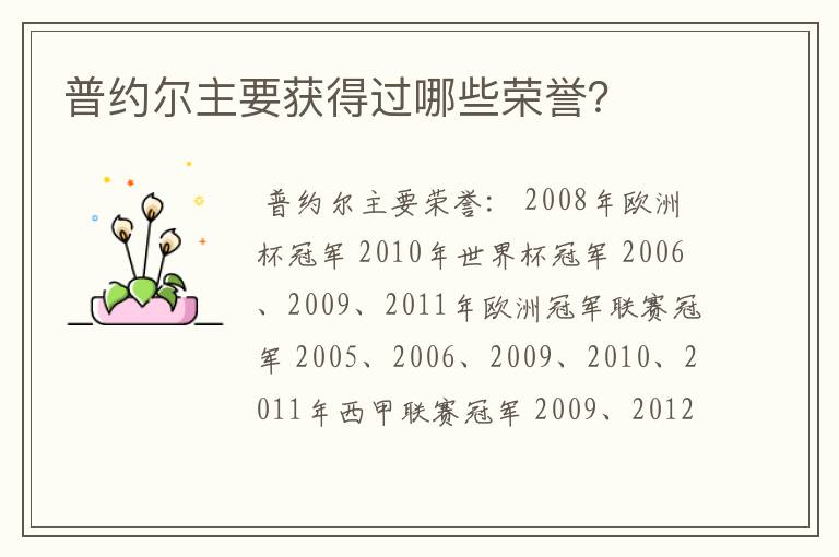 普约尔主要获得过哪些荣誉?