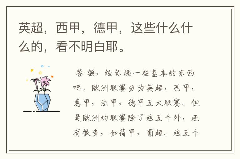 英超,西甲,德甲,这些什么什么的,看不明白耶。