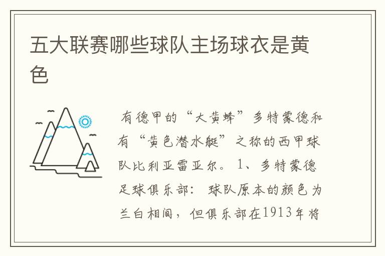 五大联赛哪些球队主场球衣是黄色