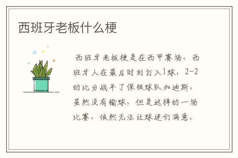 西班牙老板什么梗