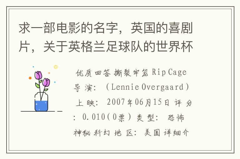 求一部电影的名字,英国的喜剧片,关于英格兰足球队的世界杯之旅的