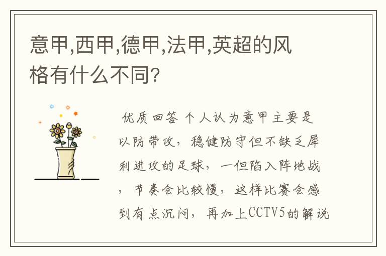 意甲,西甲,德甲,法甲,英超的风格有什么不同?