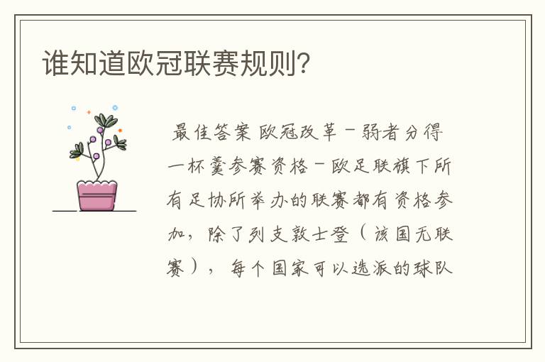 谁知道欧冠联赛规则?